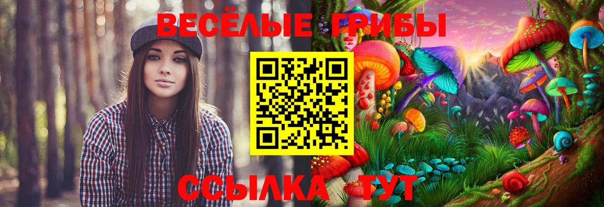 сколько стоит  Галлюциногенные грибы мицелий  Вход с VPN  Казань  Галлюциногенные грибы мицелий 