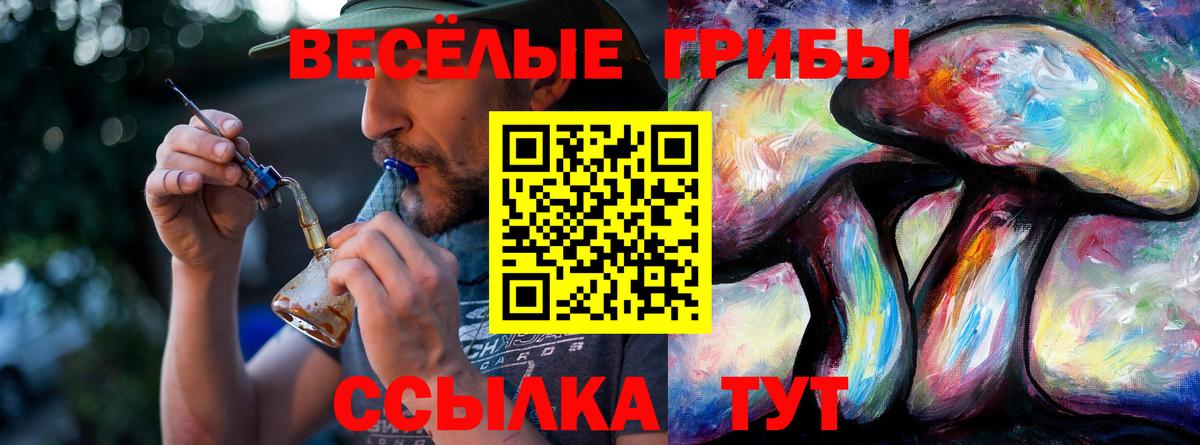 Галлюциногенные грибы Psilocybe Казань